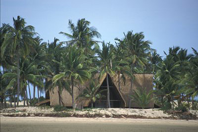 bild_gross_mozambique_038.jpg