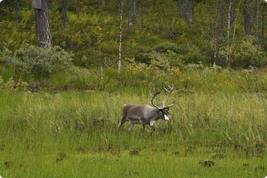 norwegen_2023_0224.jpg