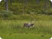 norwegen_2023_0224.jpg
