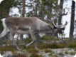 norwegen_2023_0241.jpg