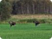 norwegen_2023_3830.jpg