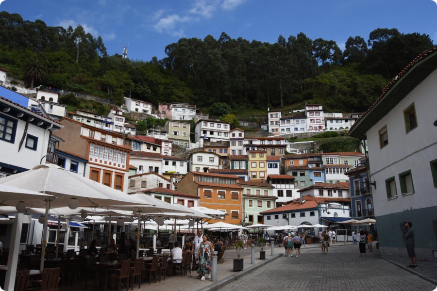 spa_por_22_5148__1316.jpg