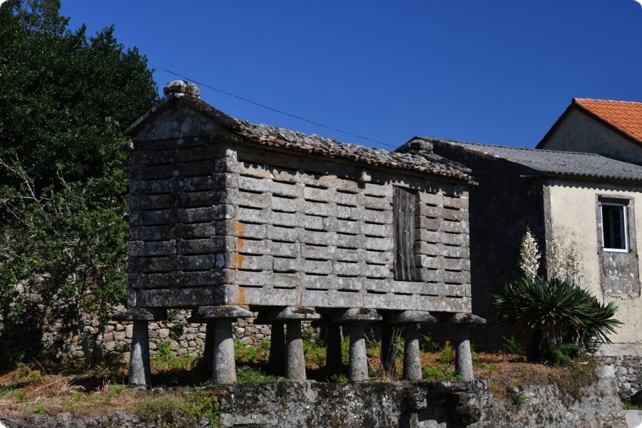 spa_por_22_5148__2195.jpg