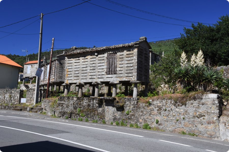 spa_por_22_5148__2202.jpg