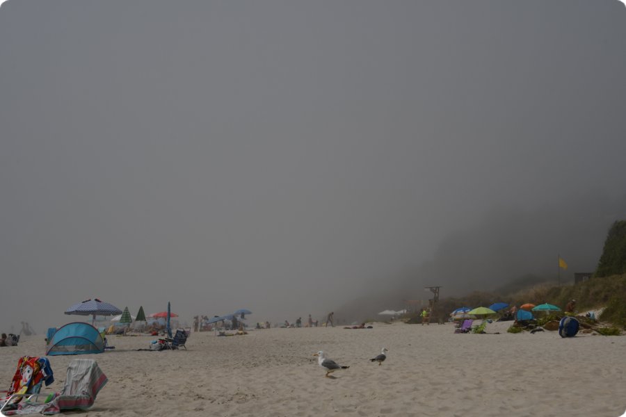 spa_por_22_5148__2519.jpg