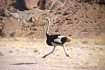 Hoanib - Namibia
