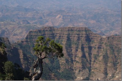 simien2009bild005.jpg