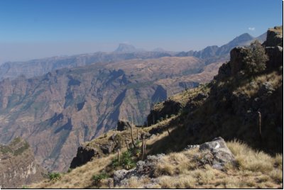 simien2009bild020.jpg