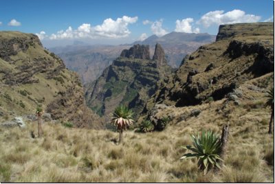 simien2009bild025.jpg