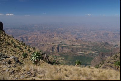 simien2009bild028.jpg