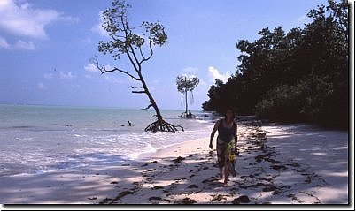 andamanen2005bild037.jpg