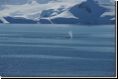 antarktis2007bild056.jpg