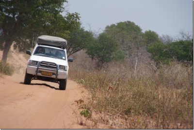 chobe2008bild001.jpg