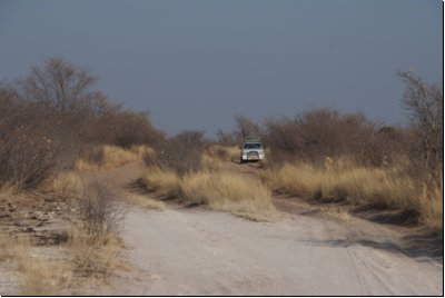 kalahari2008bild009.jpg