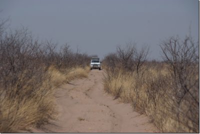 kalahari2008bild013.jpg