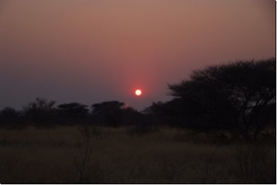 kalahari2008bild024.jpg