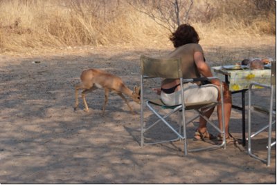 kalahari2008bild029.jpg