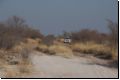 kalahari2008bild009.jpg