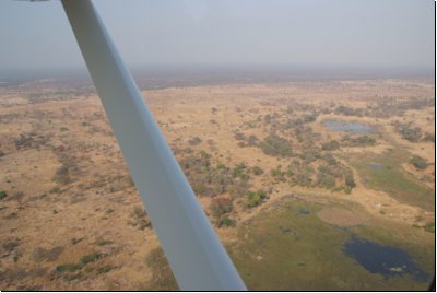 okawango2008bild002.jpg