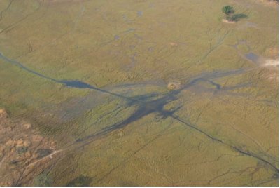 okawango2008bild005.jpg