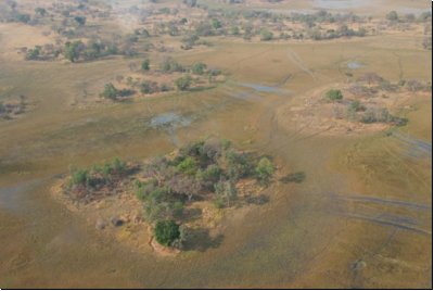 okawango2008bild006.jpg