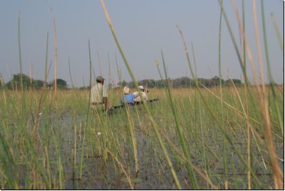 okawango2008bild027.jpg
