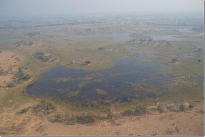okawango2008bild064.jpg
