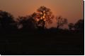 okawango2008bild020.jpg