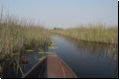 okawango2008bild026.jpg