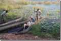 okawango2008bild034.jpg