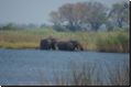 okawango2008bild038.jpg