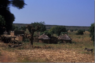burkina2005bild039.jpg