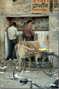 indien1991bild024.jpg