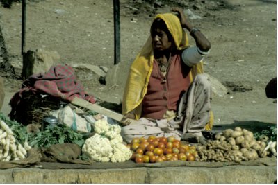 indien1991bild041.jpg