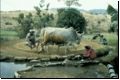 indien1991bild060.jpg