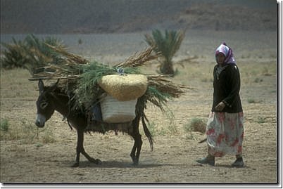 marokko2006bild025.jpg