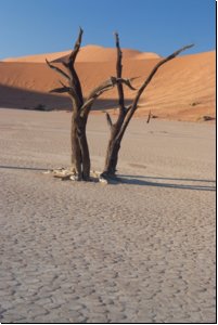 deadvlei2008bild016.jpg