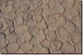 deadvlei2008bild020.jpg