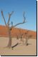 deadvlei2008bild024.jpg