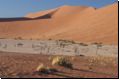 deadvlei2008bild029.jpg