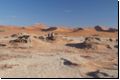 deadvlei2008bild031.jpg