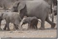 etosha2008bild024.jpg