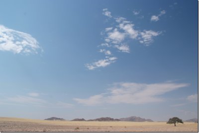 namib2008bild008.jpg