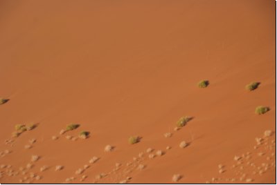 sossusvlei2008bild016.jpg