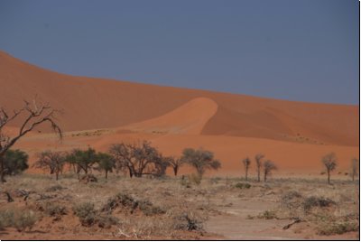 sossusvlei2008bild031.jpg