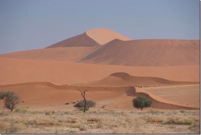 sossusvleipark2008bild033.jpg
