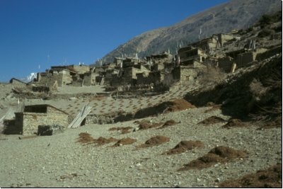 nepal1989bild019.jpg