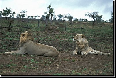 suedafrika2003bild026.jpg
