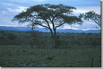 suedafrika2003bild043.jpg