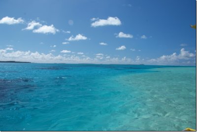cookislands2009bild023.jpg